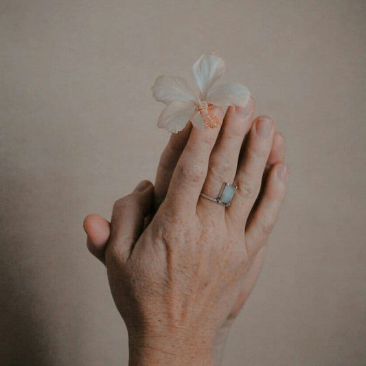 hands holding a hibiscus flower