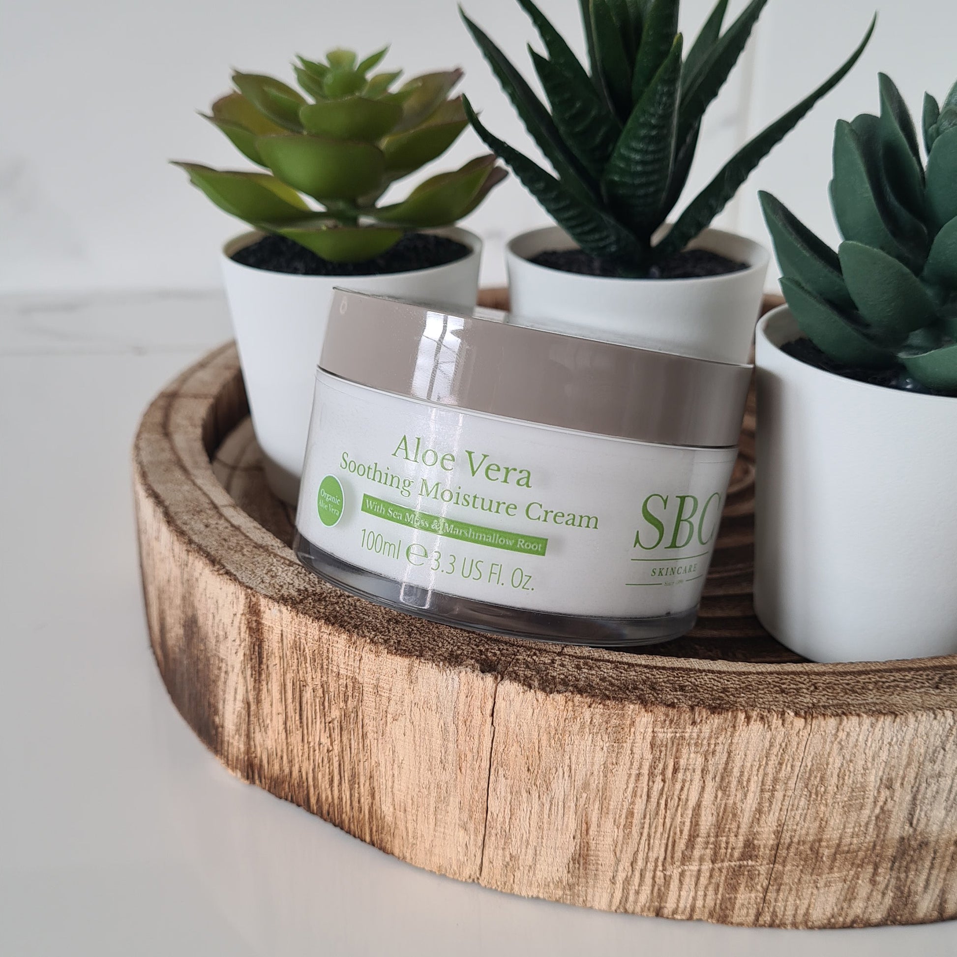 Aloe Vera Soothing Moisture Cream 100ml with succulent plans on a wooden tray