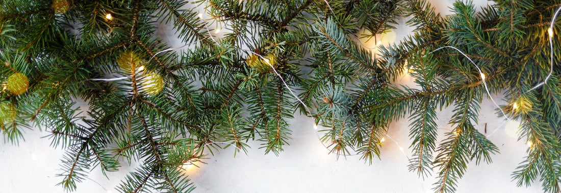 Christmas branches with lights