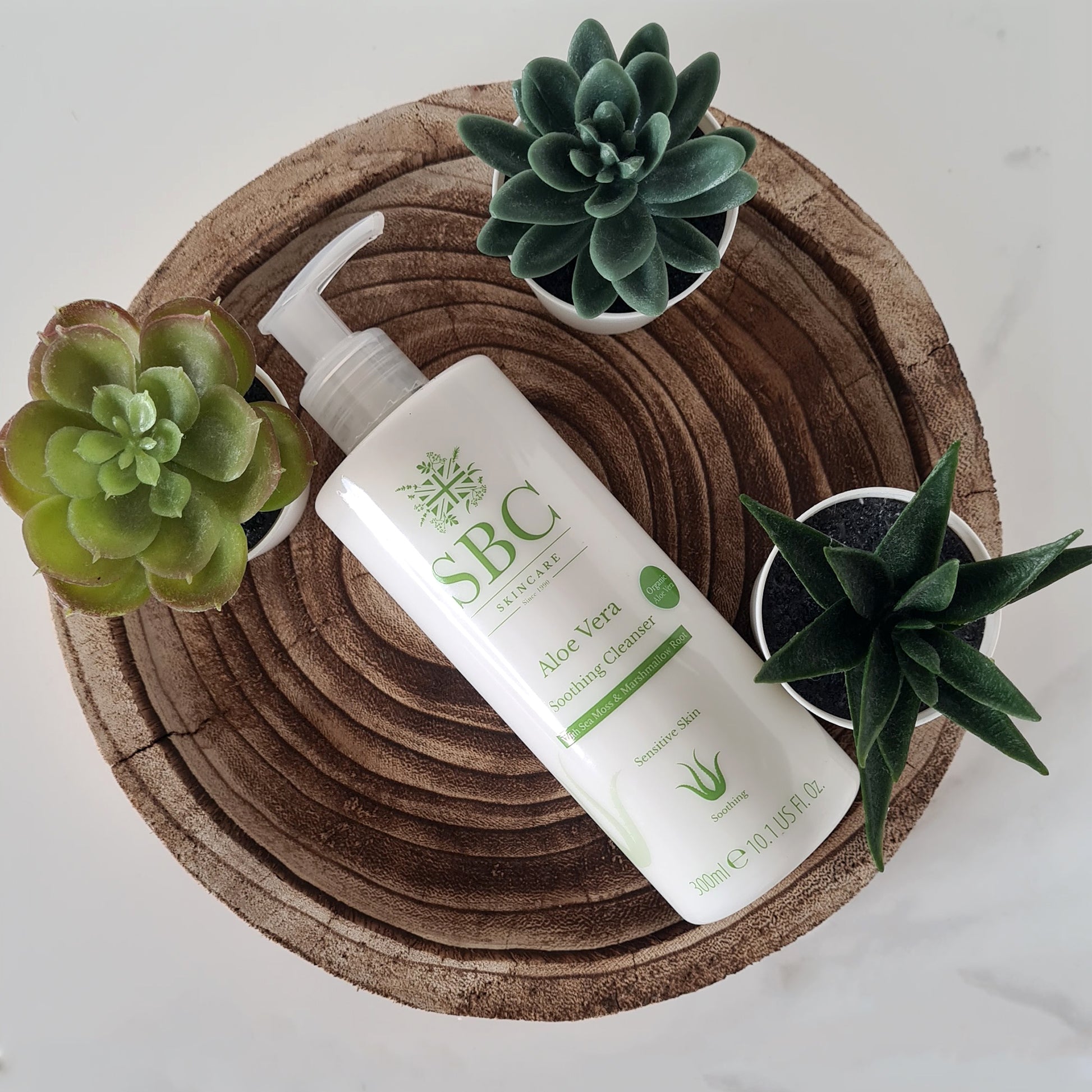 Aloe Vera Soothing Cream Cleanser 300ml on a log slice with succulent plants 